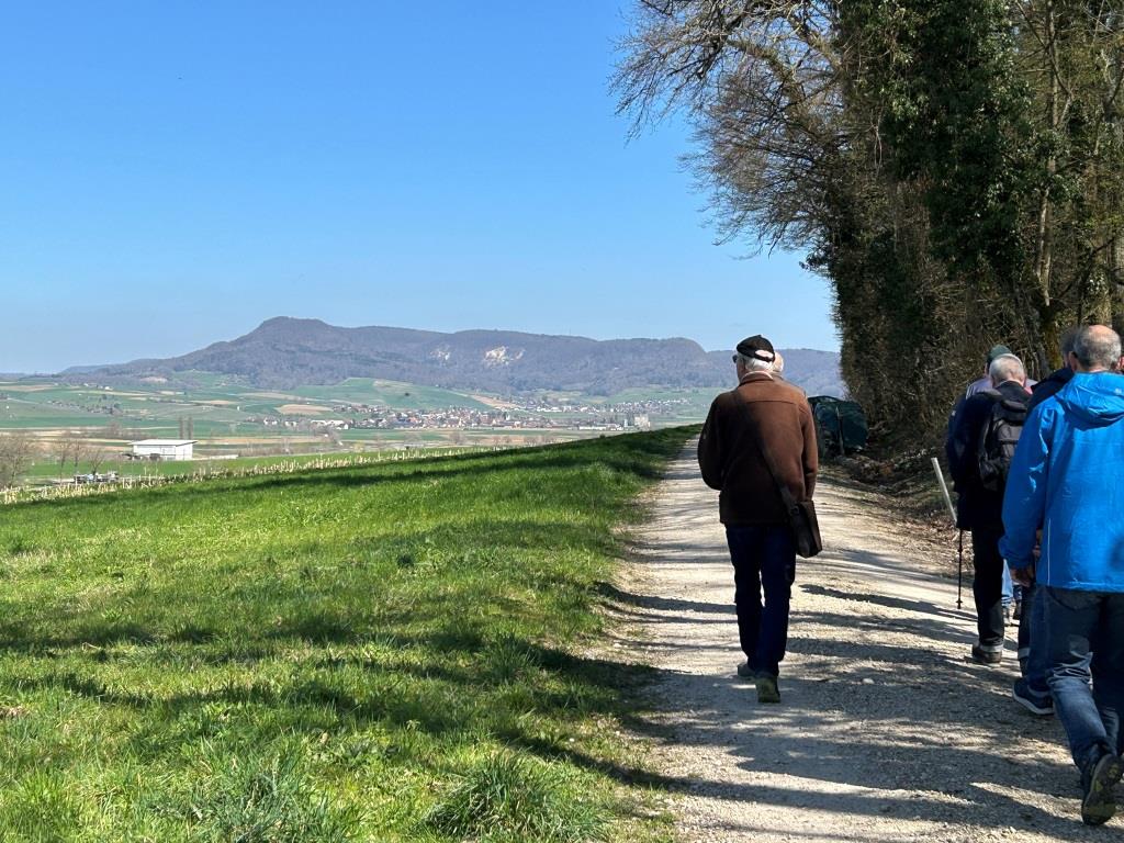 April Wanderung nach Siblingen