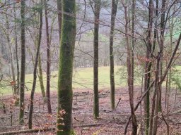 Schlussbummel_2022
