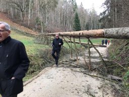 Schlussbummel_2022